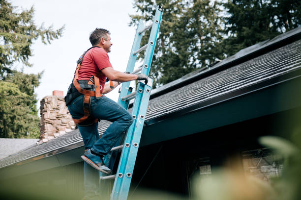 Best Roof Installation  in Silver Springs, NV